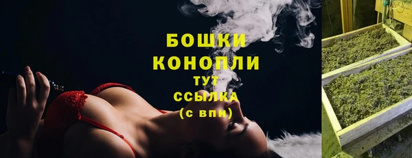 PSILOCYBIN Михайловск
