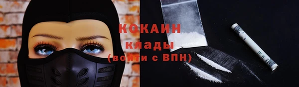 дурь Гусиноозёрск