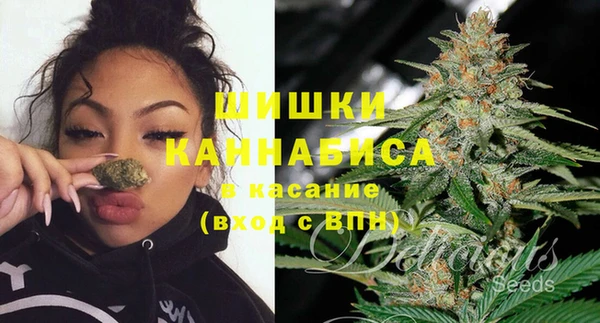 дурь Гусиноозёрск