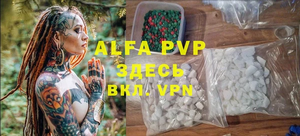 дурь Гусиноозёрск