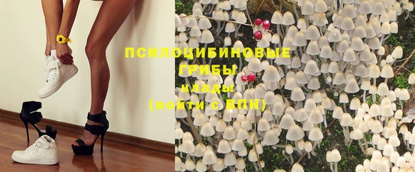 прущие крисы Гусь-Хрустальный