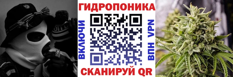 купить Приморск дарк нет формула Марихуана Bruce Banner